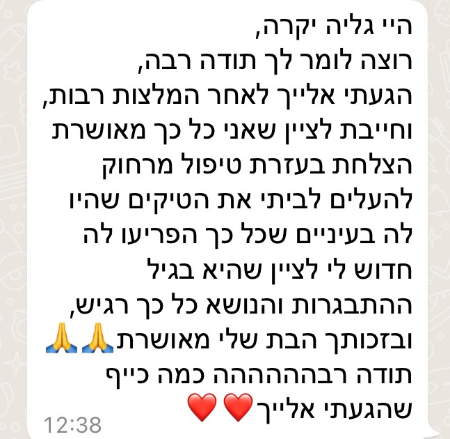 המלצה6